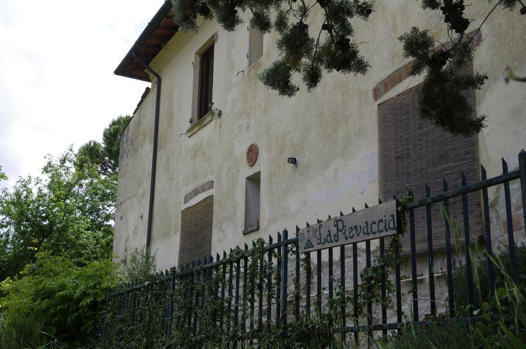 Maison d'hôtes La Pievaccia à Binami Extérieur photo