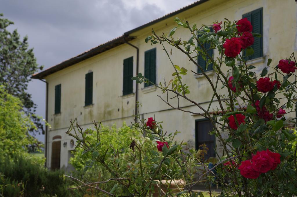 Maison d'hôtes La Pievaccia à Binami Extérieur photo